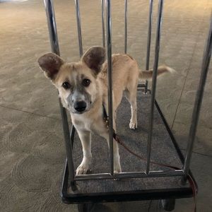 Meet your Posher, Tammy